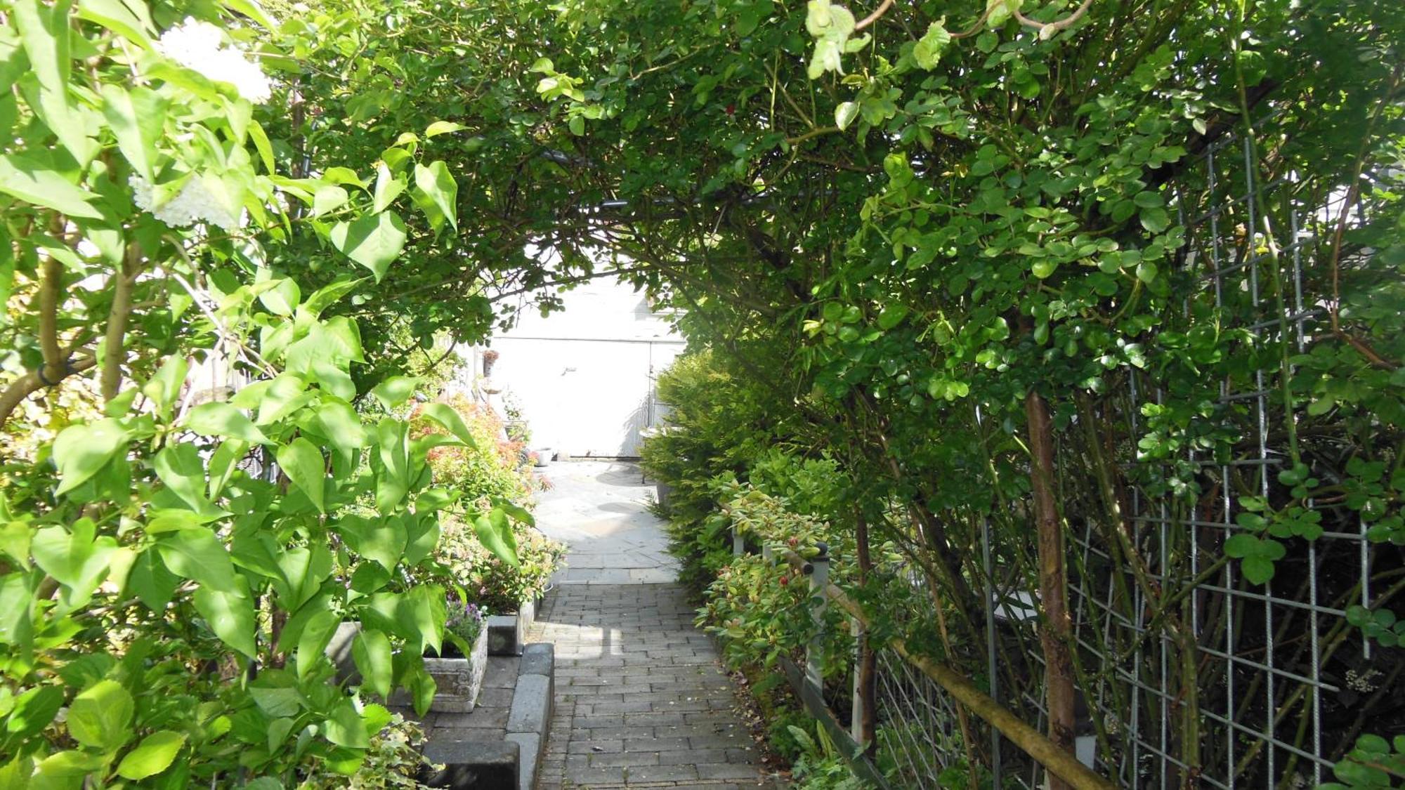 Munnik'S Hof Bed & Breakfast Amsterdam Ngoại thất bức ảnh